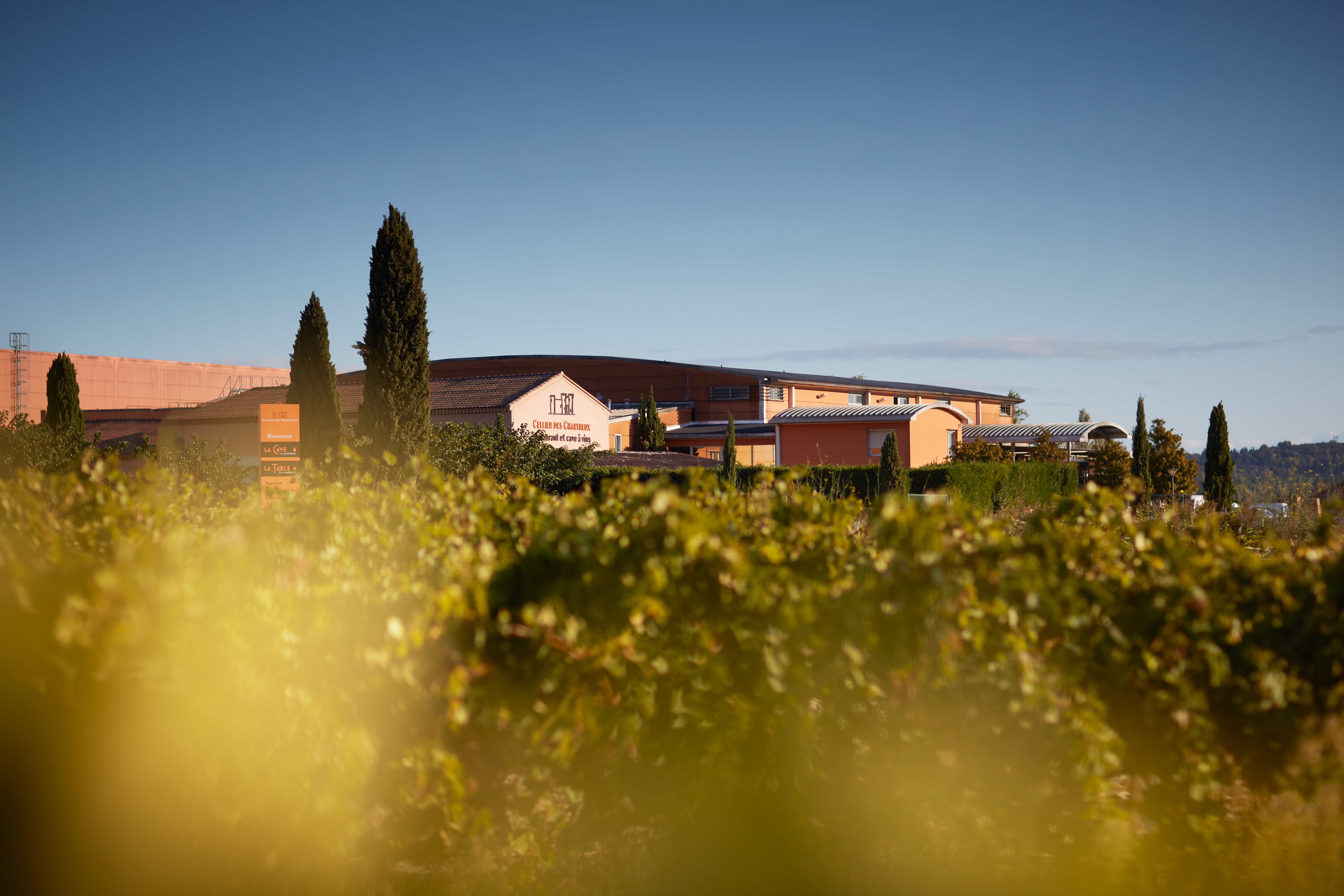 Cellier Des Chartreux