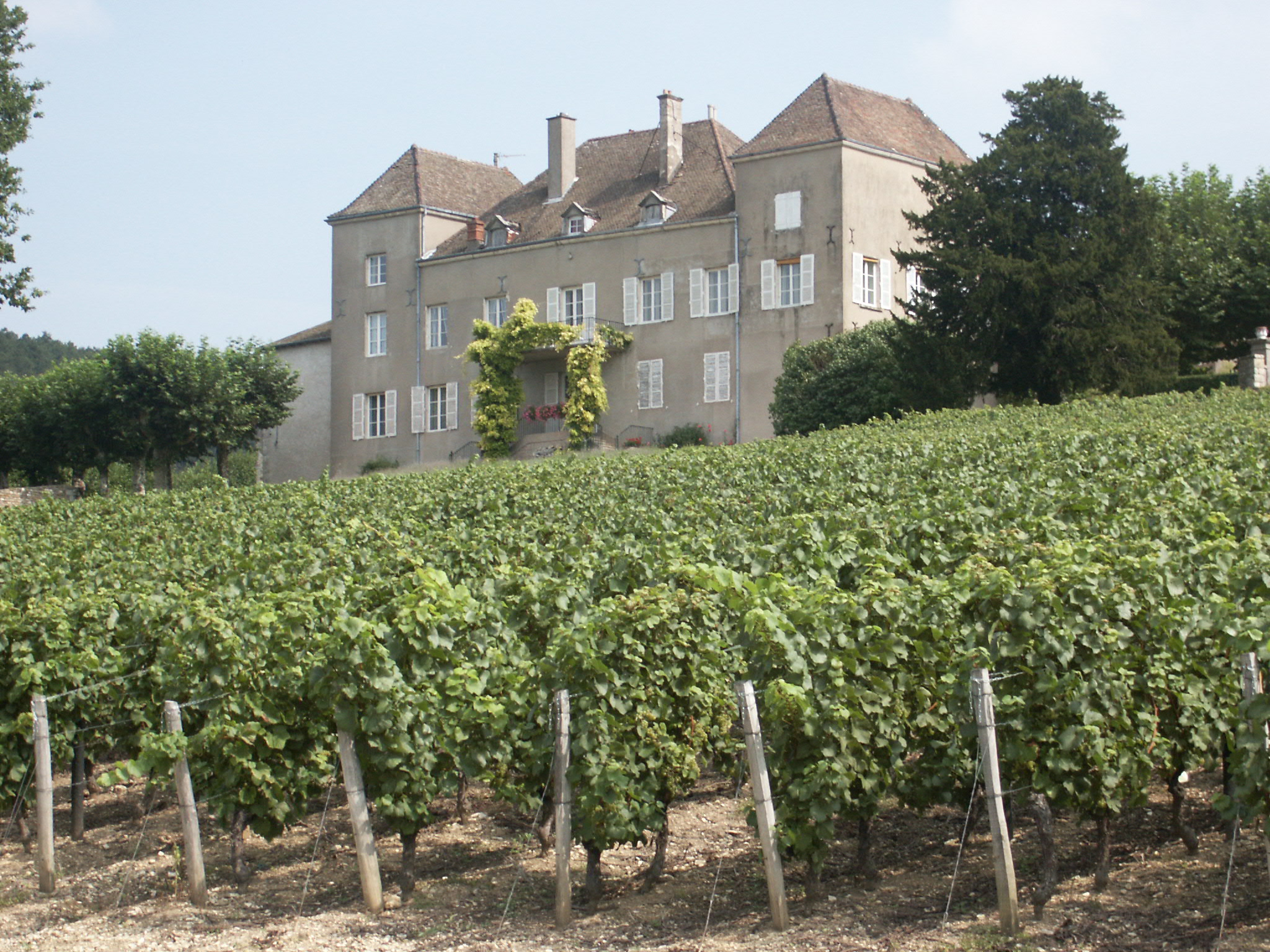 Château de La Greffiere