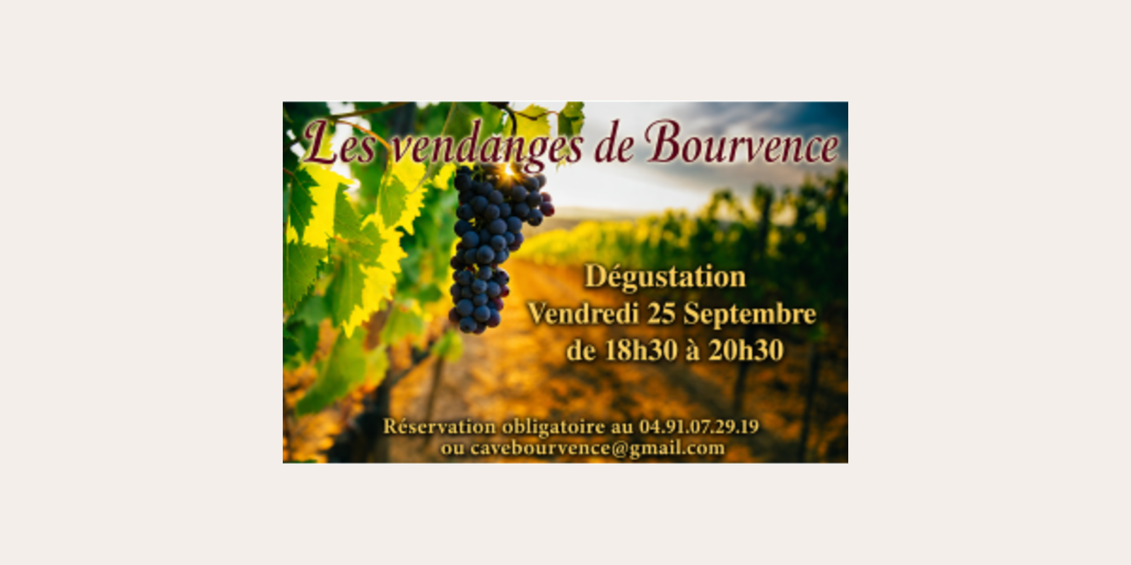 Dégustation Les vendanges de Bourvence