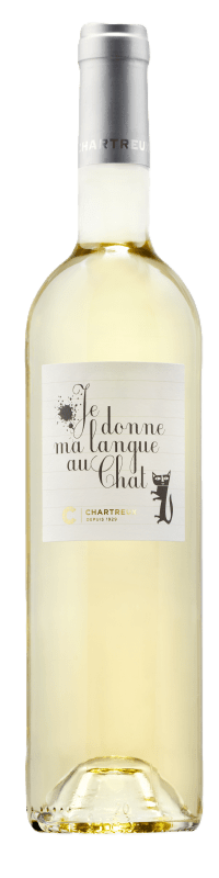 Je donne ma Langue au Chat Chartreux Blanc