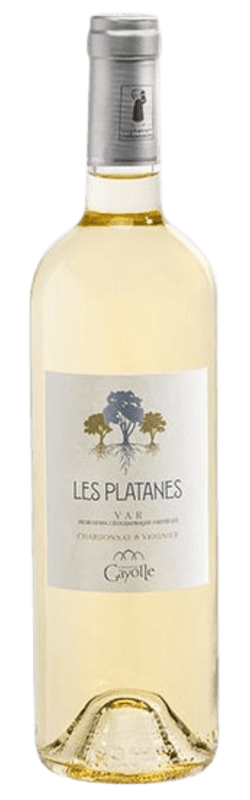 Platane Gayolle Blanc