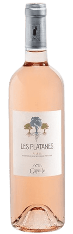 Platane Gayolle Rosé